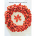 Medlar Dried Goji Berry (Wolfberry)